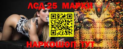spice Кулебаки