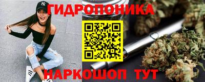 spice Кулебаки