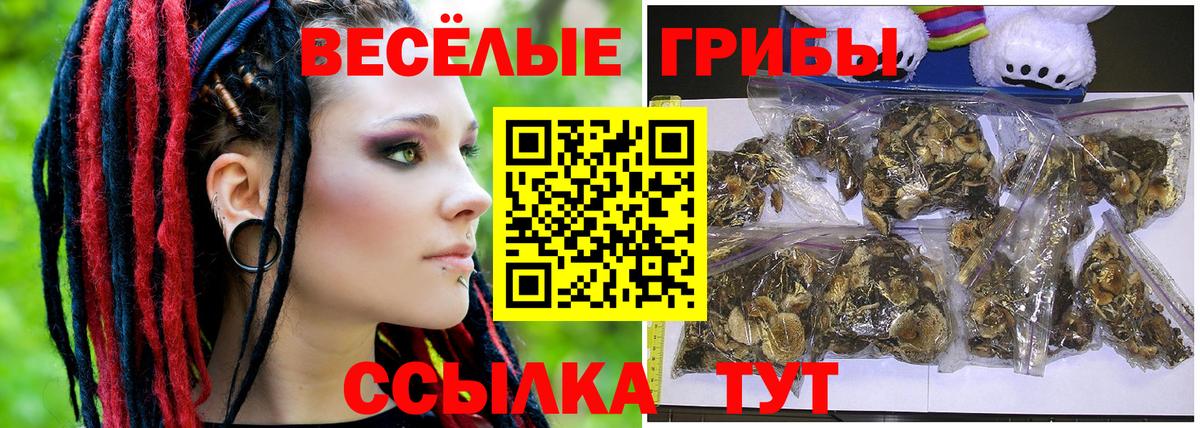 цены   Вход с VPN  Чусовой  Галлюциногенные грибы GOLDEN TEACHER 